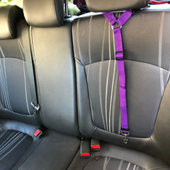 Solid Color Two-in-one Pet Car Seat Belt Nylon Lead Leash Backseat